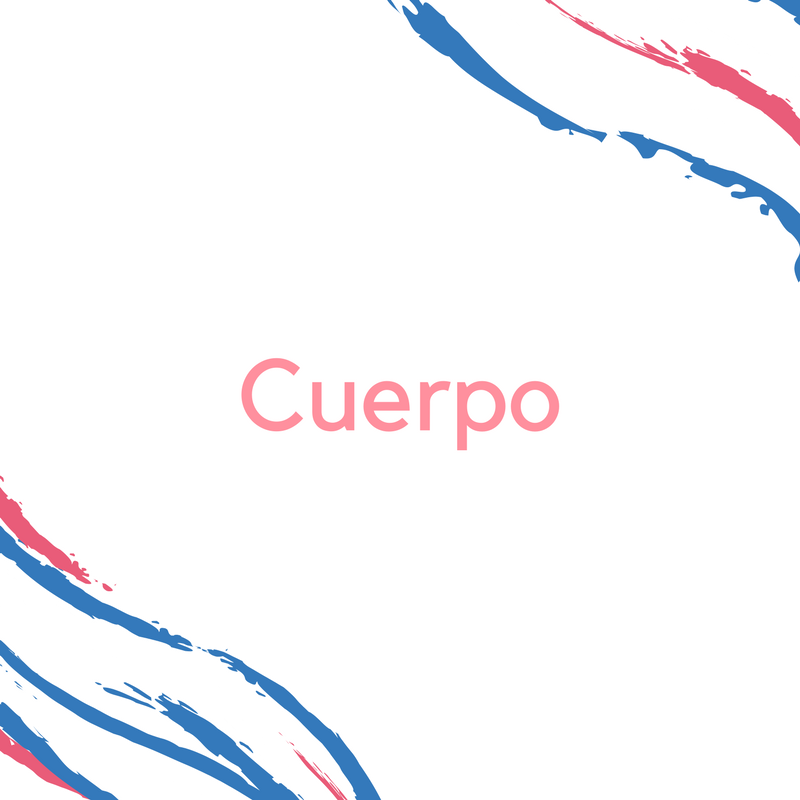 Cuerpo